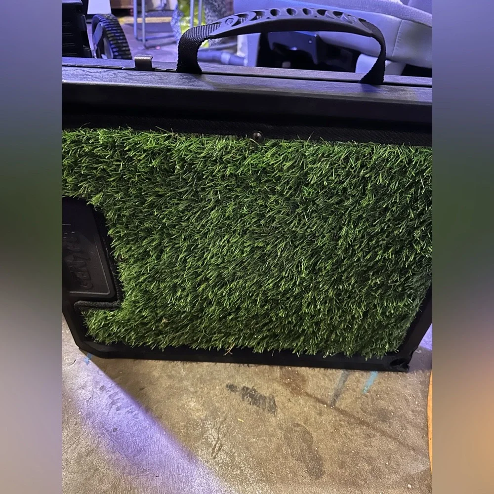 Green Dog Potty Training Mat